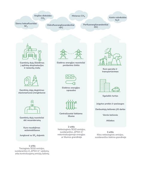 Schema: Otoakustinės emisijos tyrimas