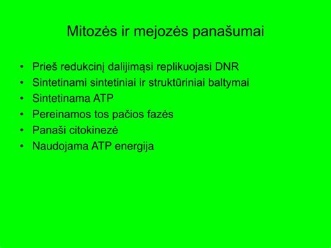 Mitozės ir mejozės palyginimas