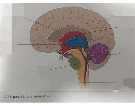 schemos matavimo galvos apimčiai