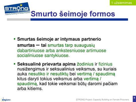 Vaizdinė schema: Kaip veikia smurtas šeimoje