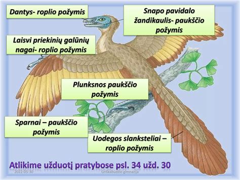Mikrobų fosilijos ir heterotrofijos procesai