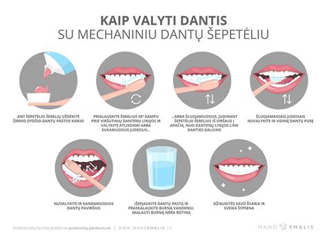 schematinis žmogaus burnos ir dantų vaizdas