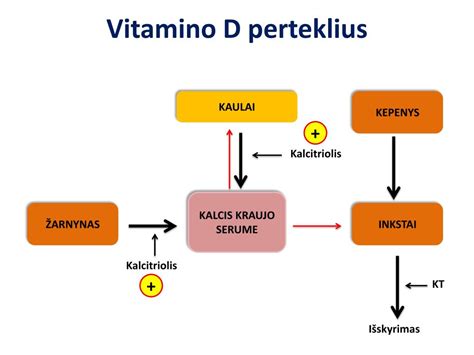 Vitamino D šaltiniai ir svarba