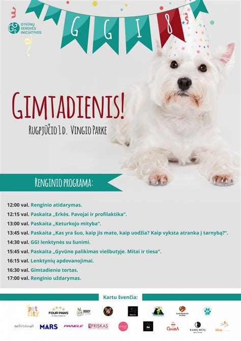 gyvūnų gimtadienio šventės atributika