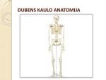 Simptomai dubens kaulų lūžio atveju