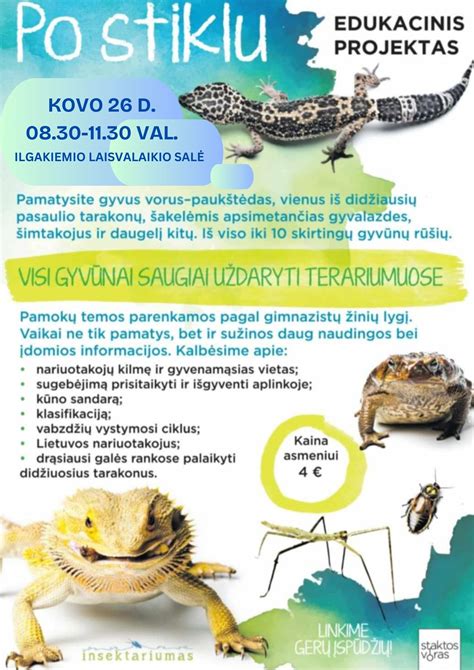 Gyvalazdės kiaušinėliai