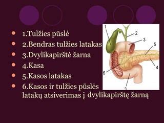 simbolis, vaizduojantis kepenis ir tulžies latakus