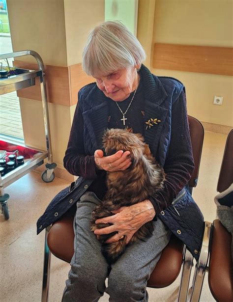 Šunų terapija senjorų globos namuose