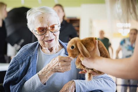 Gyvūnų terapija senelių globos namuose