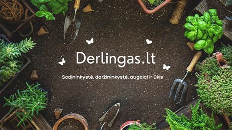 Svetainės lankomumo statistika