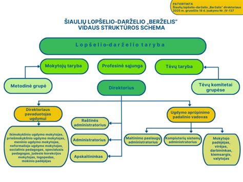 Schema, iliustruojanti vidaus akušerinį tyrimą