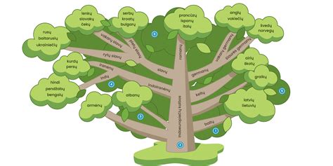 Schema: Muzikinė 
