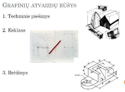 Medicininis brėžinys su pjūvio vietomis