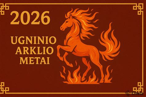 nuotrauka jaunystes metais