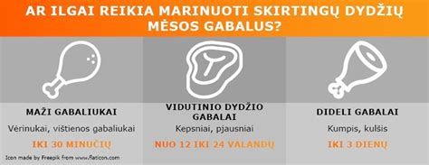 Schematinė iliustracija, rodanti skirtingų rūšių atostogas ir jų trukmę