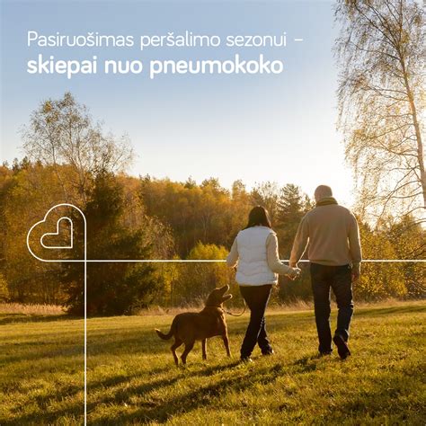 Vasaros peršalimo ligų prevencija