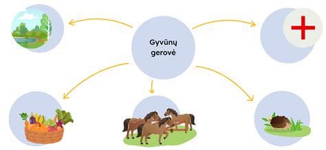 schema su skraidančiais ir plaukiojančiais gyvūnais