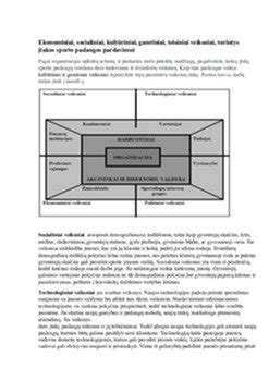 Infografika: Veiksniai, turintys įtakos nėščiosios pilvo formai