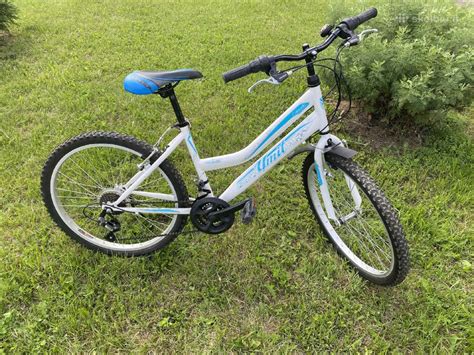 Vaikiškas dviratis 24 colių