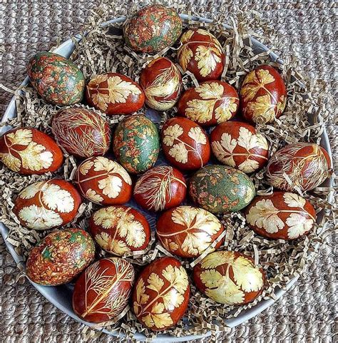 Margutis, dažytas svogūnų lukštais