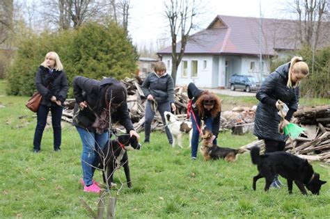 darbuotojai prieglaudoje su gyvunu