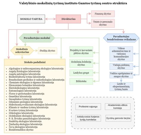 Vaisiaus medicinos tyrimų schema