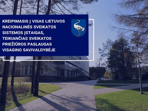 Schematinis Lietuvos sveikatos priežiūros sistemos lygmenų pavaizdavimas