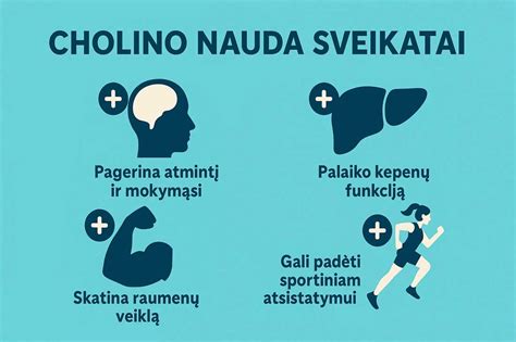 Cholino svarba smegenų veiklai