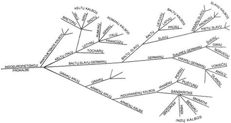Baltų kalbų medžio schema