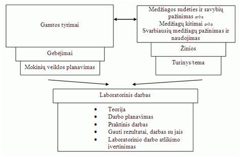 schematinis pūlinio susidarymo paveikslėlis