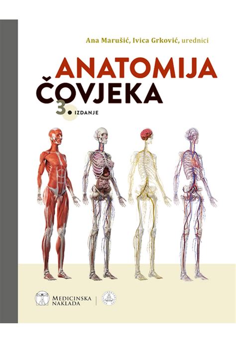 makšties anatomija
