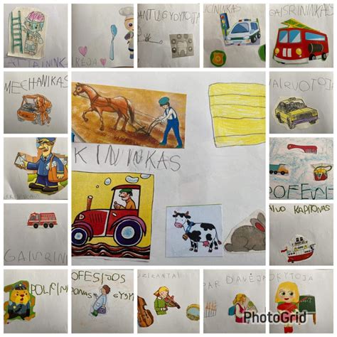 vaizdas su įvairiomis antiparazitinėmis žolėmis