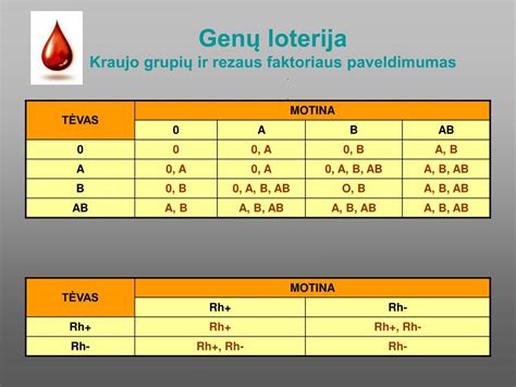 scheminė kraujo grupių ir rezus faktoriaus sąveika nėštumo metu
