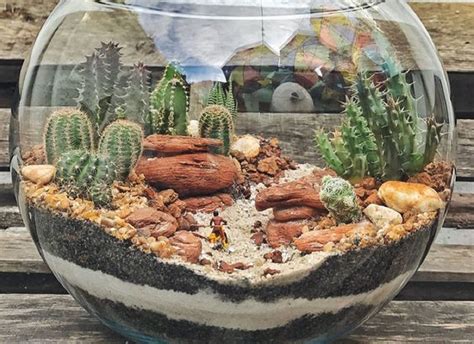 Vaiko rankose laikomas stiklainis su mini ekosistema