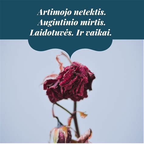 Simbolis, vaizduojantis netektį ir liūdesį