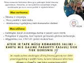 Globos koordinatoriaus darbas
