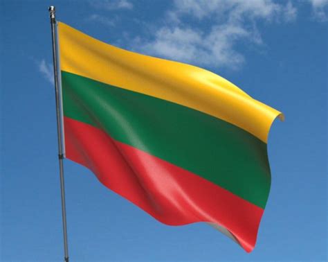 Lietuvos vėliavos spalvos ir neužmirštuolės