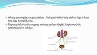 Statistika apie inkstų ligas ir transplantacijas