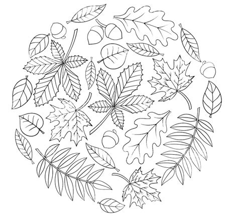 rudens lapai ir gėrybės