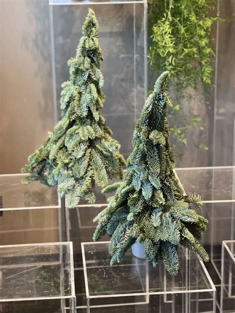 Kalėdinės dekoracijos darželio grupėje