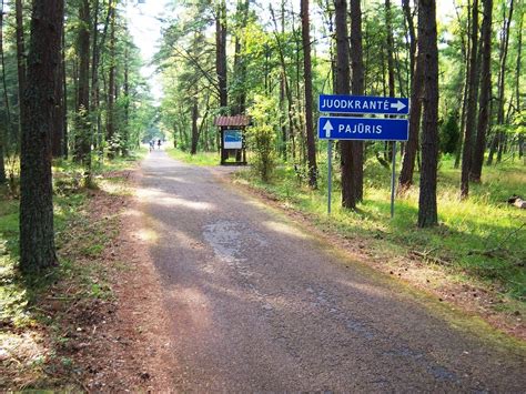 Dviračių takas Aukštaitijos parke