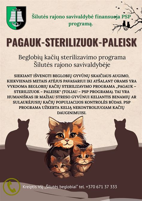 Infografika: Kaip veikia 