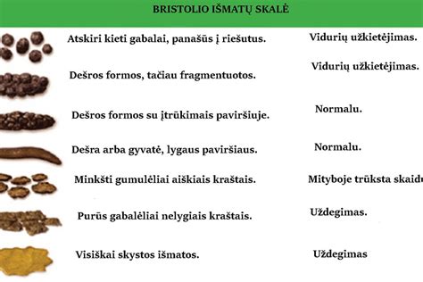 Bristolio išmatų lentelė
