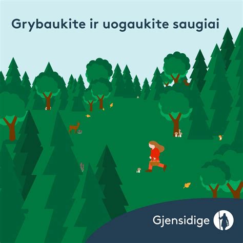 Miško peizažas ir grybavimas