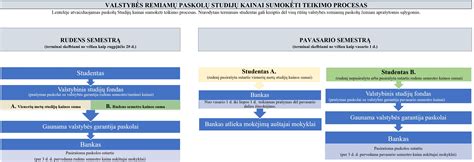 Valstybės paramos senelių priežiūrai schema