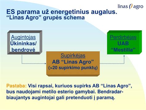 paramos grupės schema
