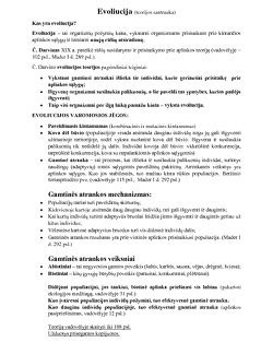 Evoliucijos teorijos schematinis pavaizdavimas