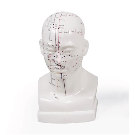 Istorinė kinų iliustracija su akupunktūros taškais