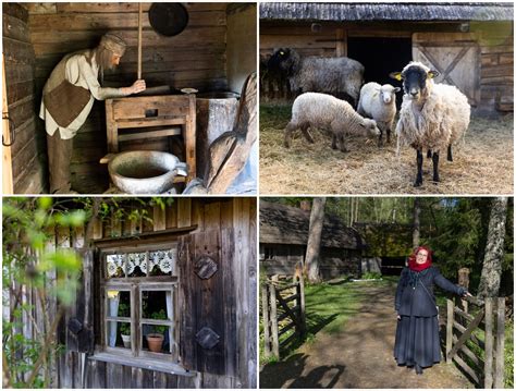 Nuotrauka, vaizduojanti tradicinius lietuviškus kaimo namus