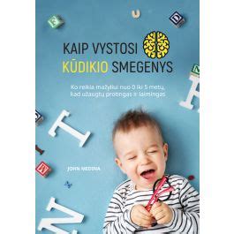 schematinis vaizdas, kaip vystosi kūdikio smegenys